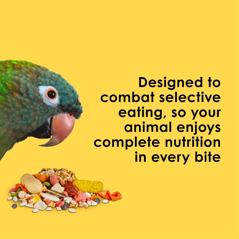 Kaytee Fiesta Big Bites probiotic digestive support with natural antioxidants.