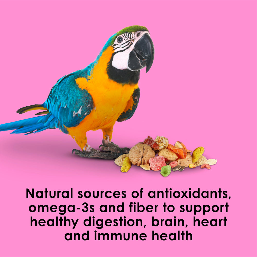 Kaytee Fiesta Big Bites probiotics and prebiotics aid gut balance