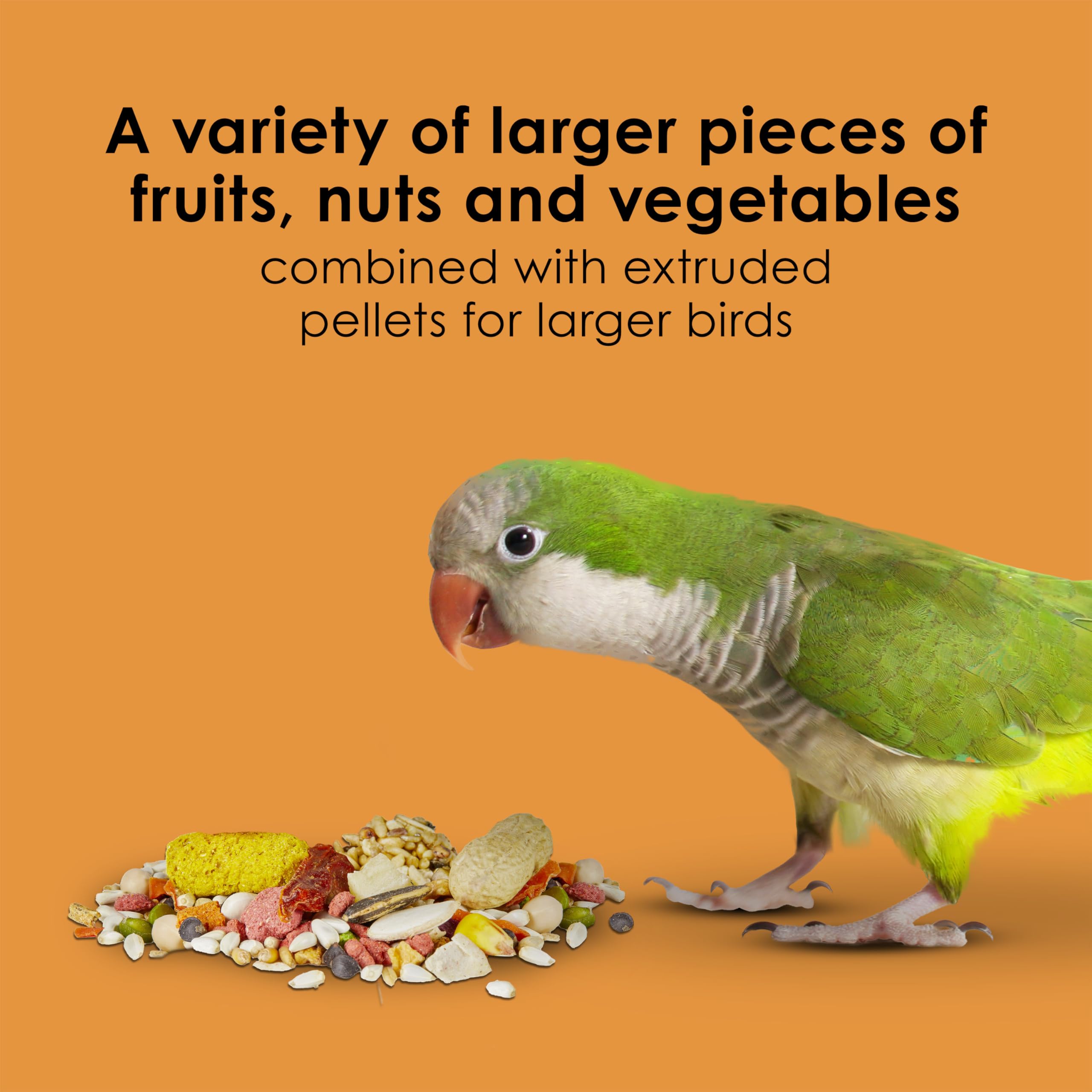 Kaytee Fiesta Big Bites varied shapes textures encourages foraging and curiosity.