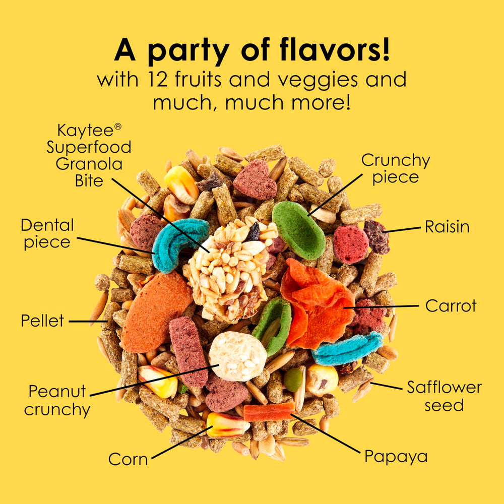 Kaytee Fiesta foraging-inspired mix keeps guinea pigs mentally engaged during meals.