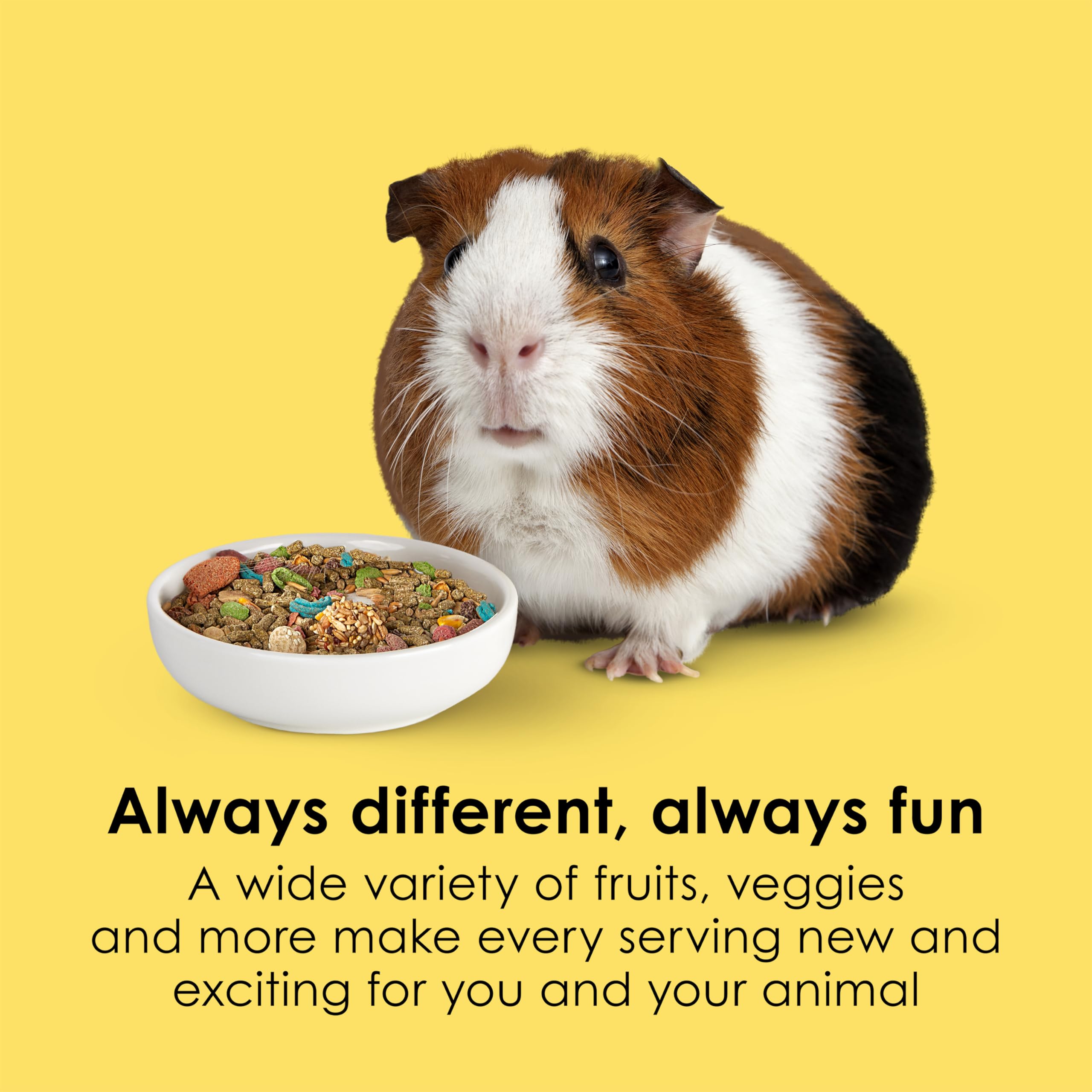 Kaytee Fiesta fruit and vegetable mix adds color and enrichment to daily feeding.