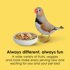 Kaytee Fiesta Max canary/finch 2lb bird feeder scene shows easy feeding.
