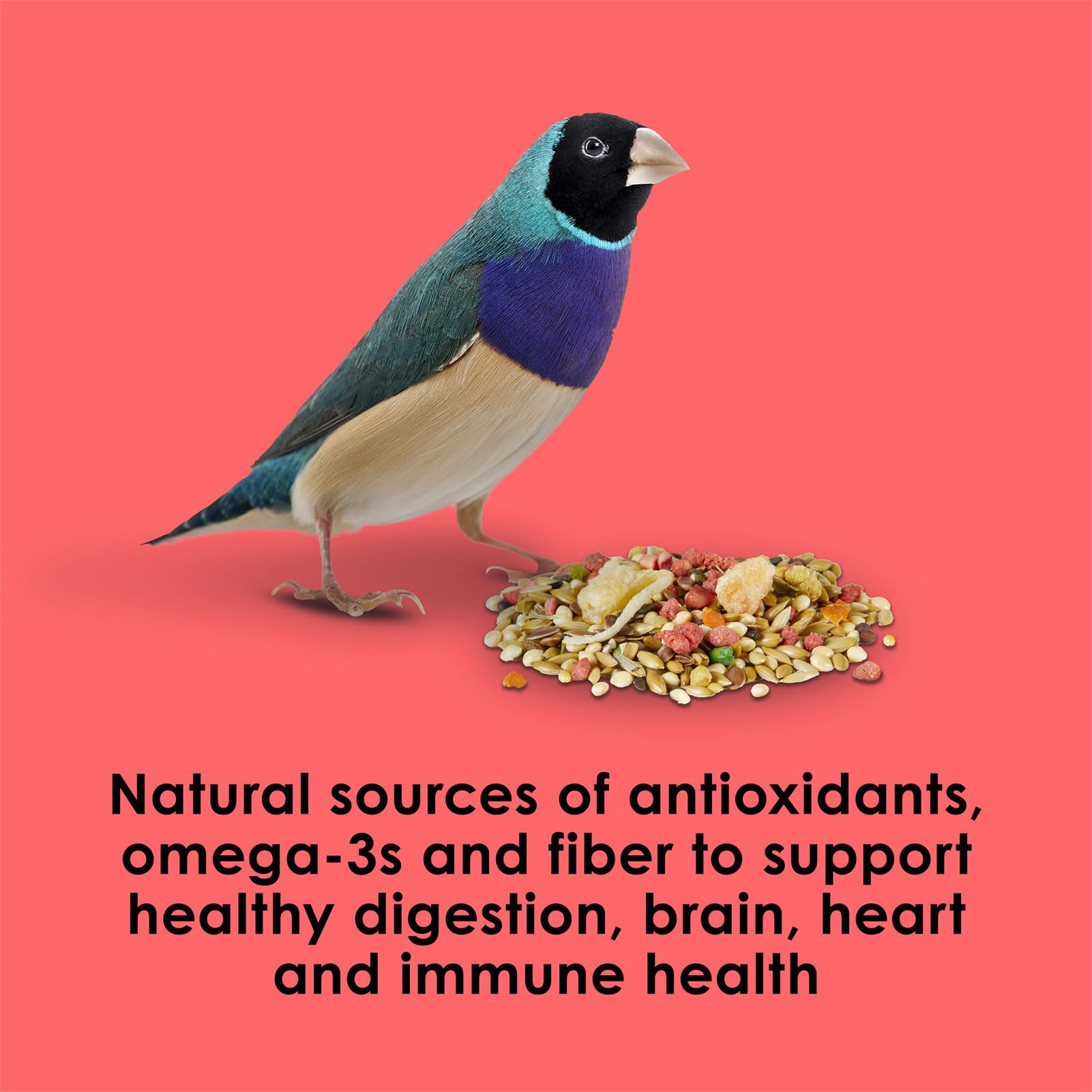Kaytee Fiesta Max canary/finch 2lb birds eating together promotes social feeding.