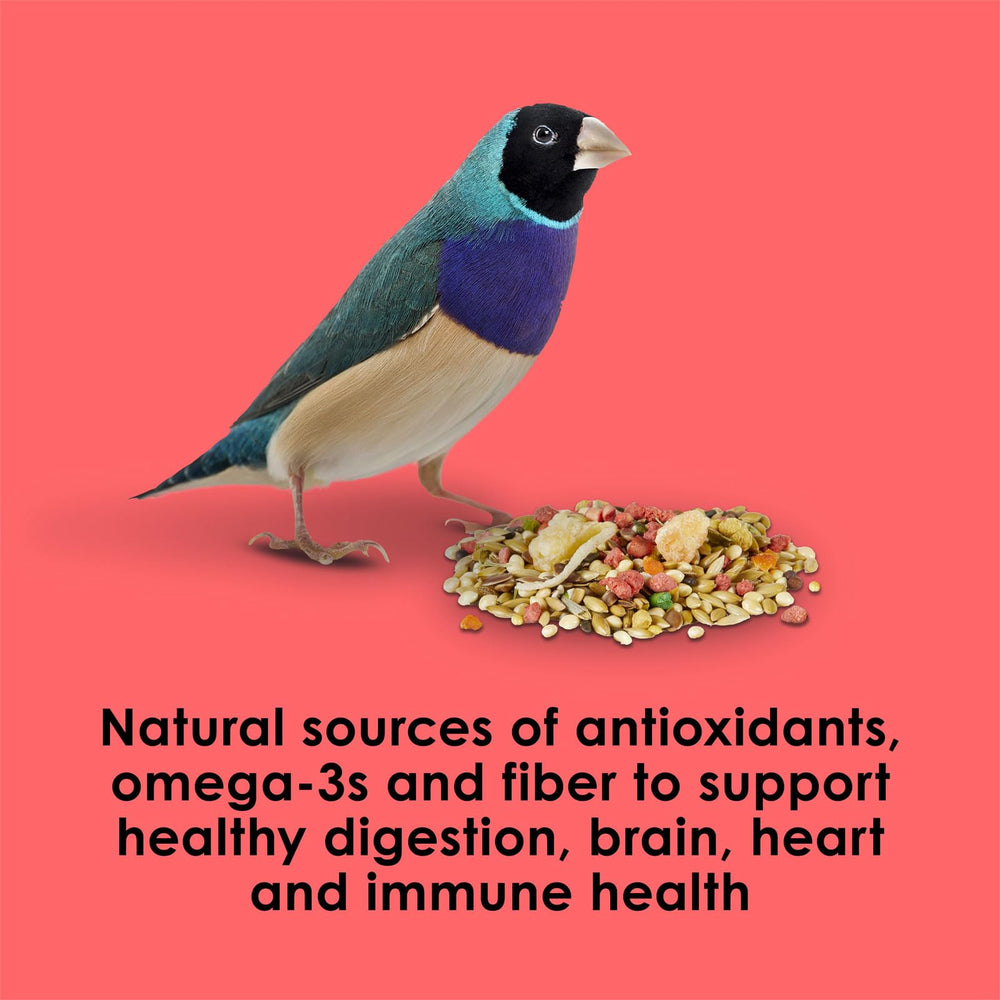 Kaytee Fiesta Max canary/finch 2lb birds eating together promotes social feeding.