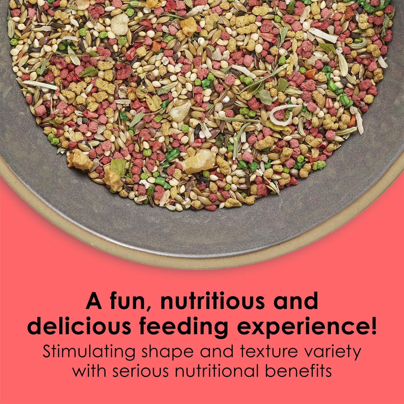 Kaytee Fiesta Max canary/finch 2lb seed blend closeup highlights diverse foraging-friendly mix.