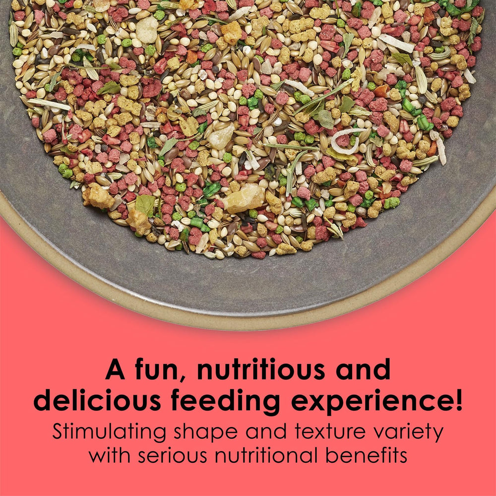 Kaytee Fiesta Max canary/finch 2lb seed blend closeup highlights diverse foraging-friendly mix.