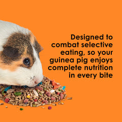 Kaytee Fiesta natural antioxidants support overall health and immune function for pets.