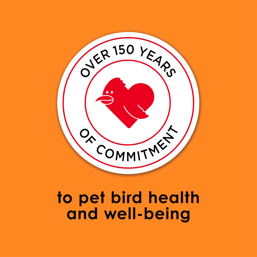 Kaytee Fiesta parakeet-food balanced blend inviting brain and heart health considerations.