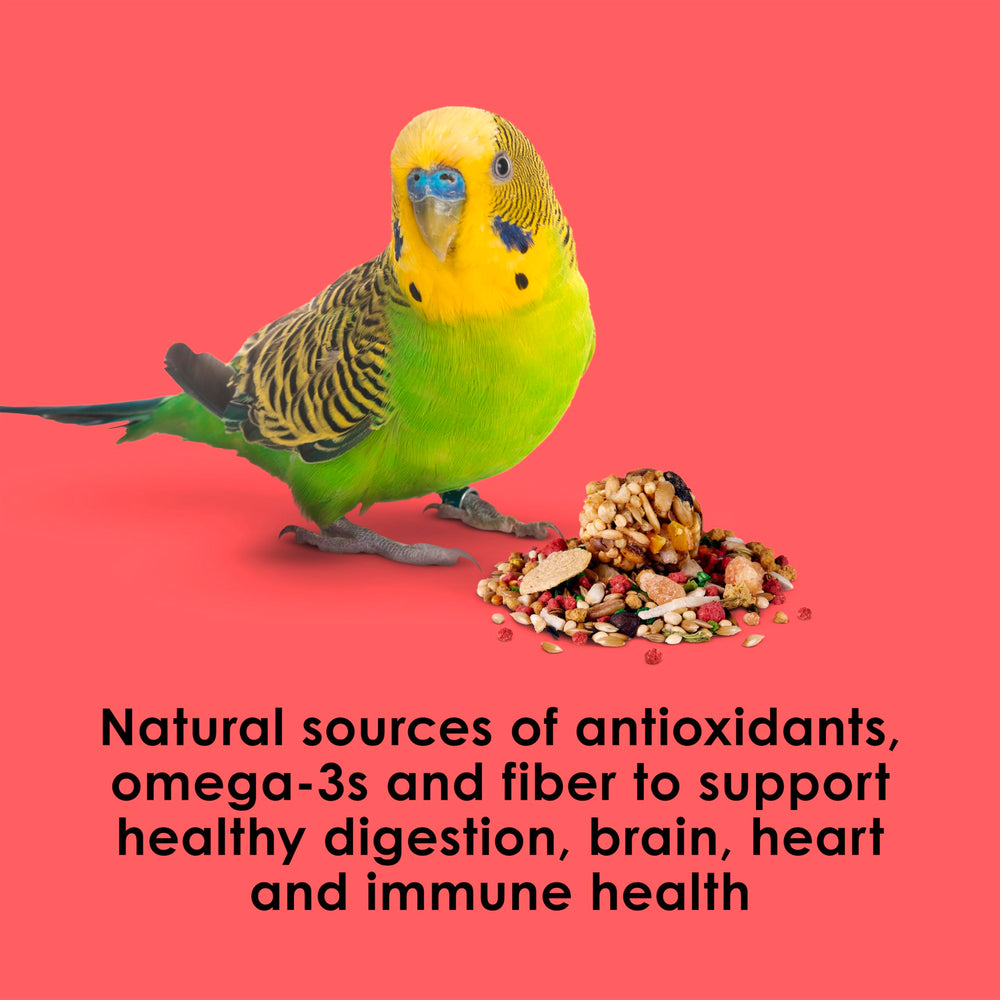Kaytee Fiesta parakeet-food foraging activity scene promoting natural enrichment.