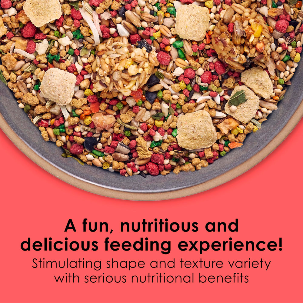 Kaytee Fiesta parakeet food fruits and vegetables closeup highlights variety for balanced nutrition.