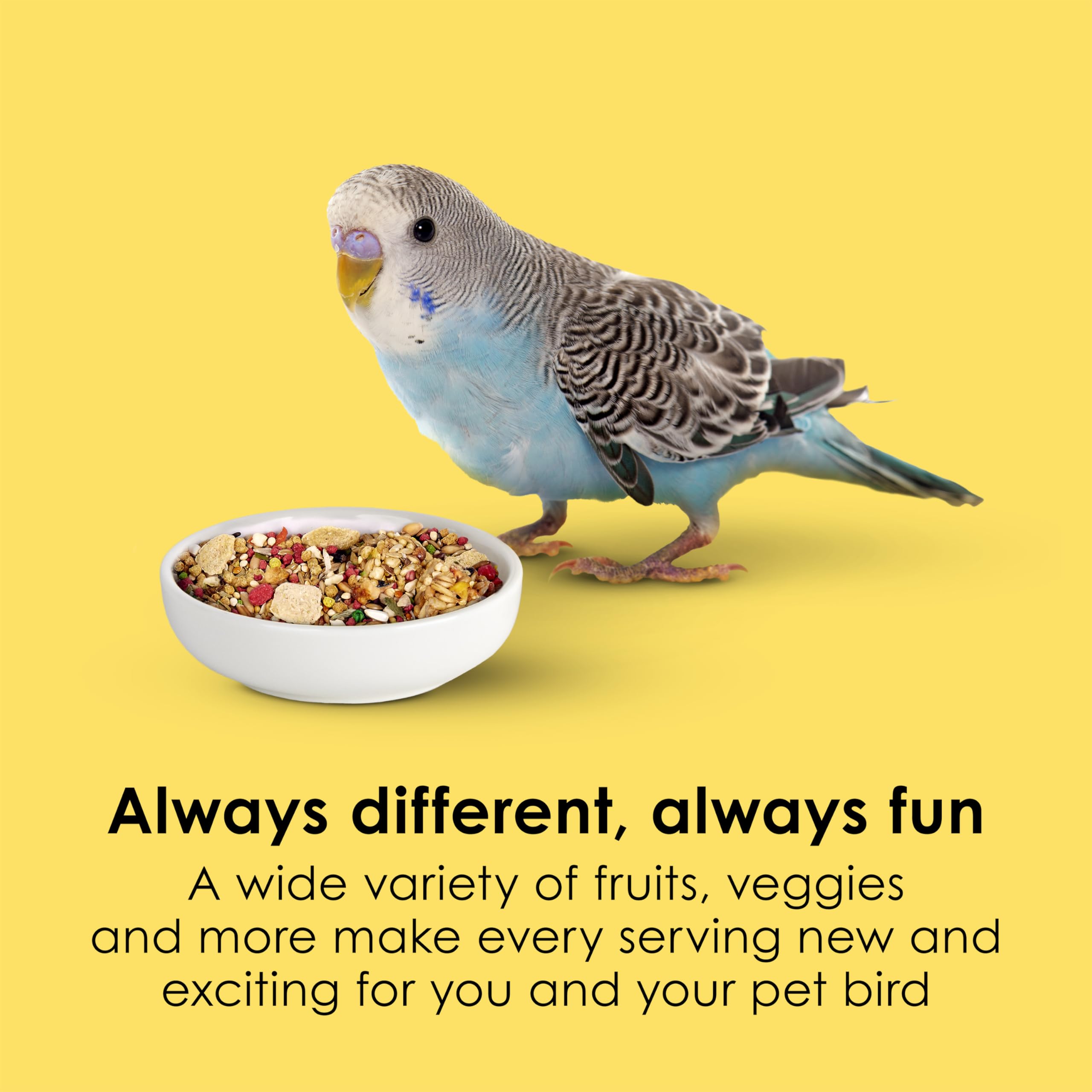 Kaytee Fiesta parakeet-food pineapple and carrot flavors add color to meals.