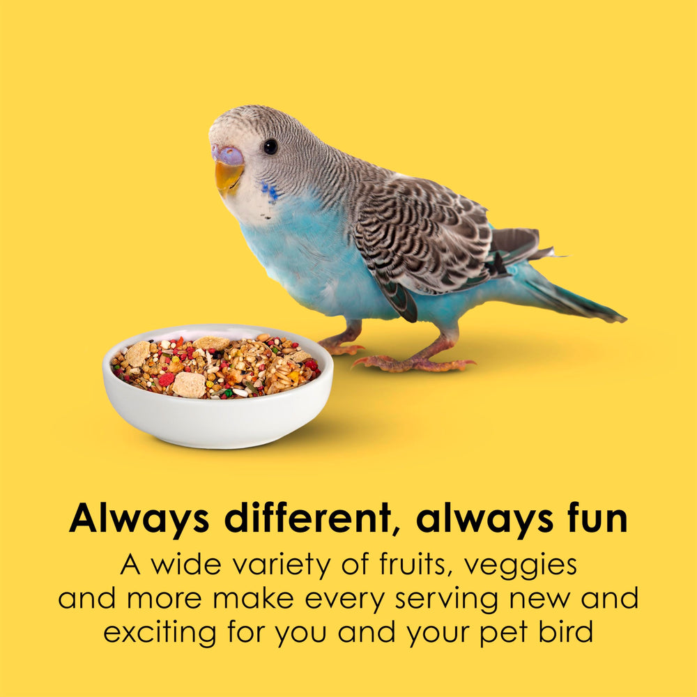 Kaytee Fiesta parakeet-food pineapple and carrot flavors add color to meals.