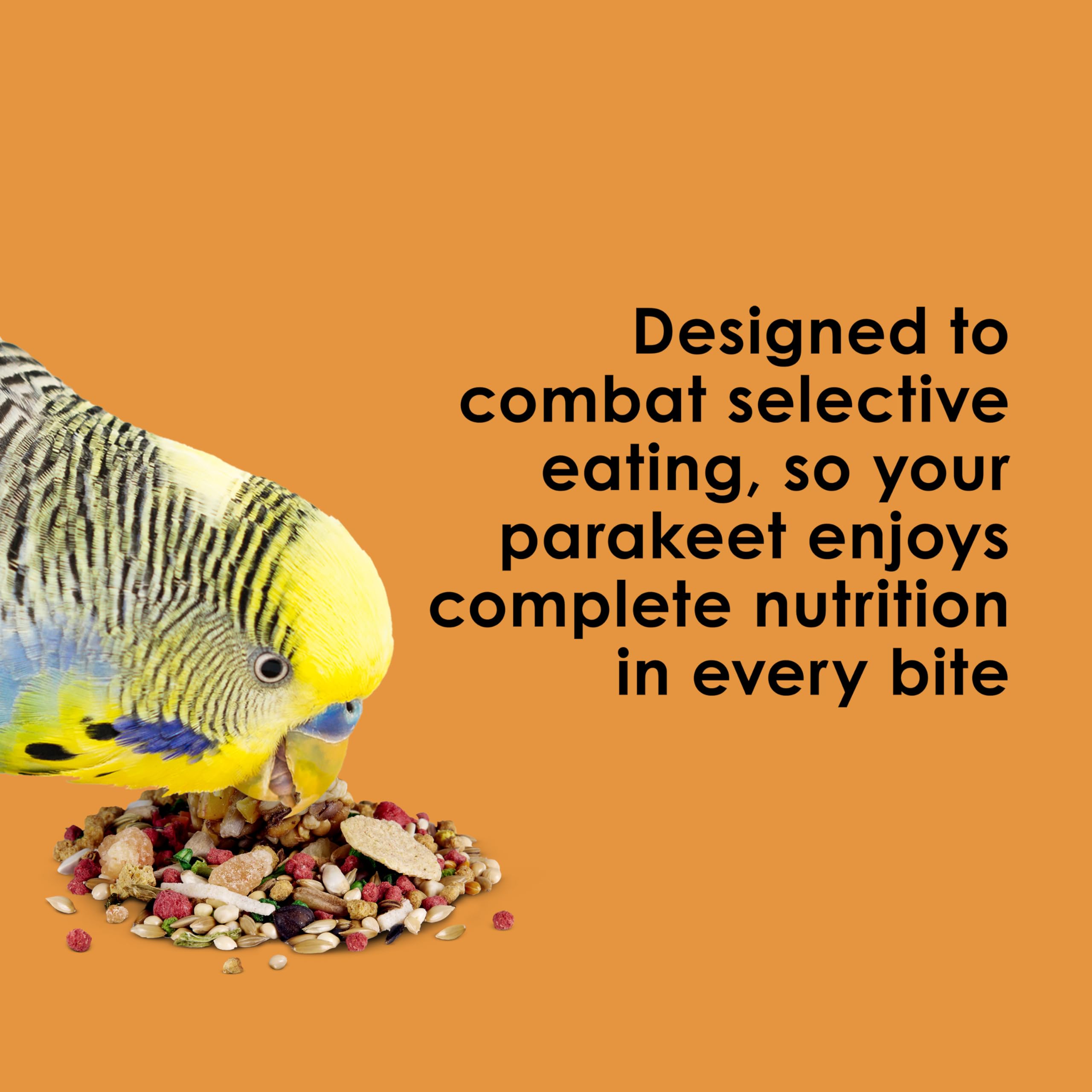 Kaytee Fiesta parakeet food serving bowl demonstrates easy portioning for daily meals.