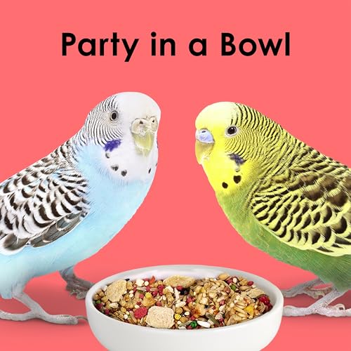 Kaytee Fiesta parakeet omega-3 content supported brain and heart health.