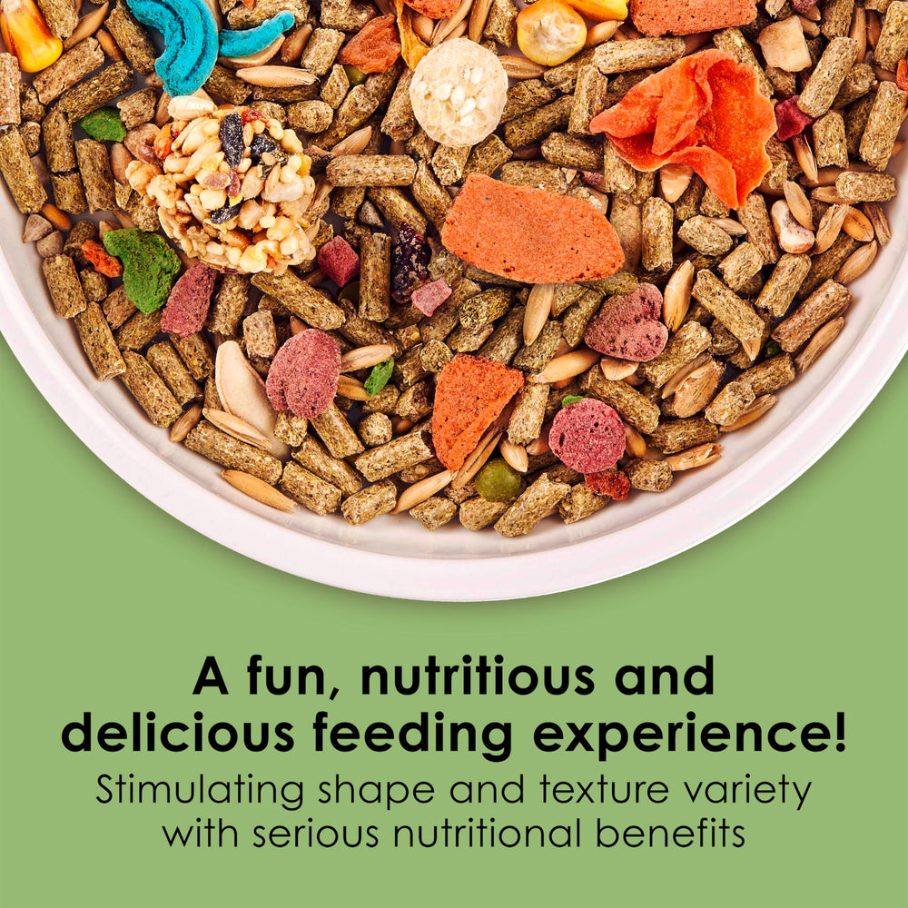 Kaytee Fiesta texture assortment highlights shapes to encourage chewing and dental health.