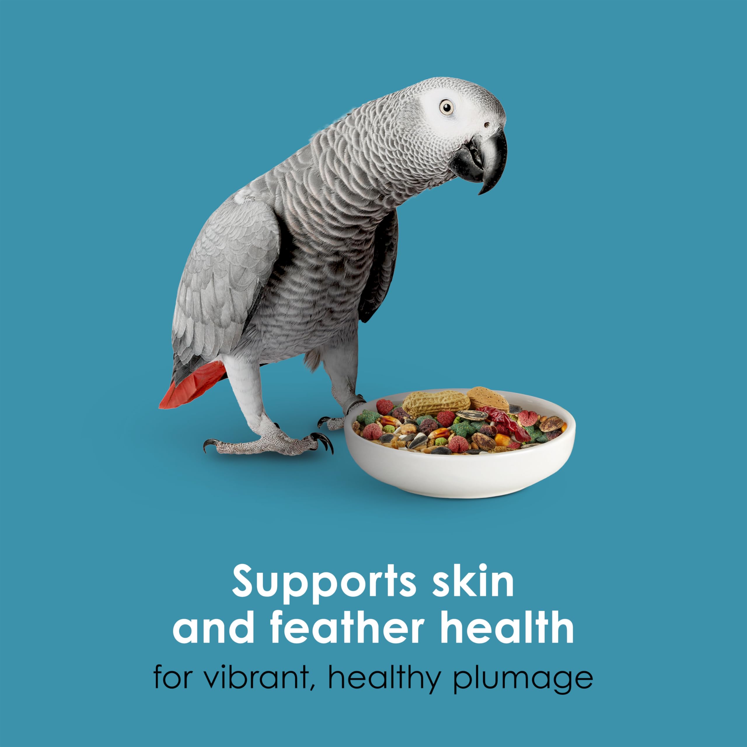 Kaytee Forti-Diet Pro Health parrot food bag shows 8-pound size.