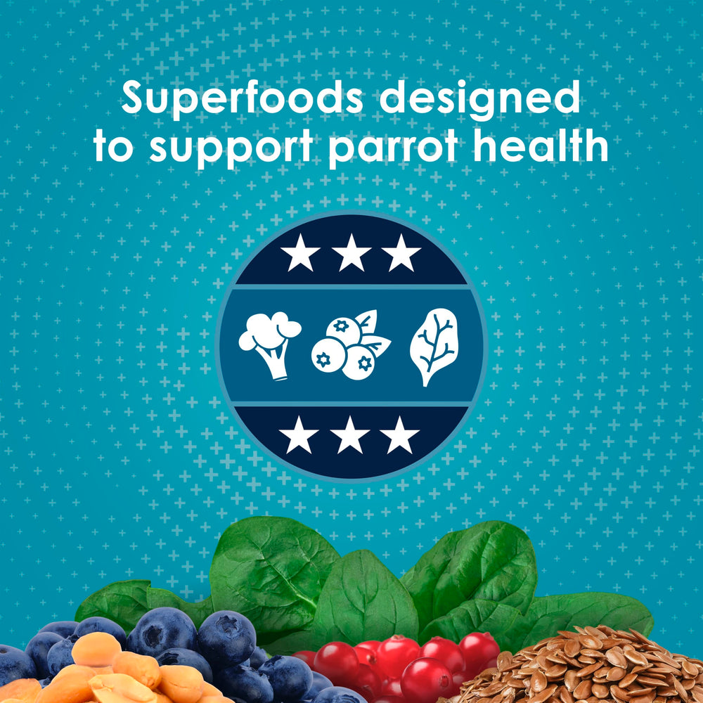 Kaytee Forti-Diet Pro Health parrot feeding scene emphasizes variety in meals.