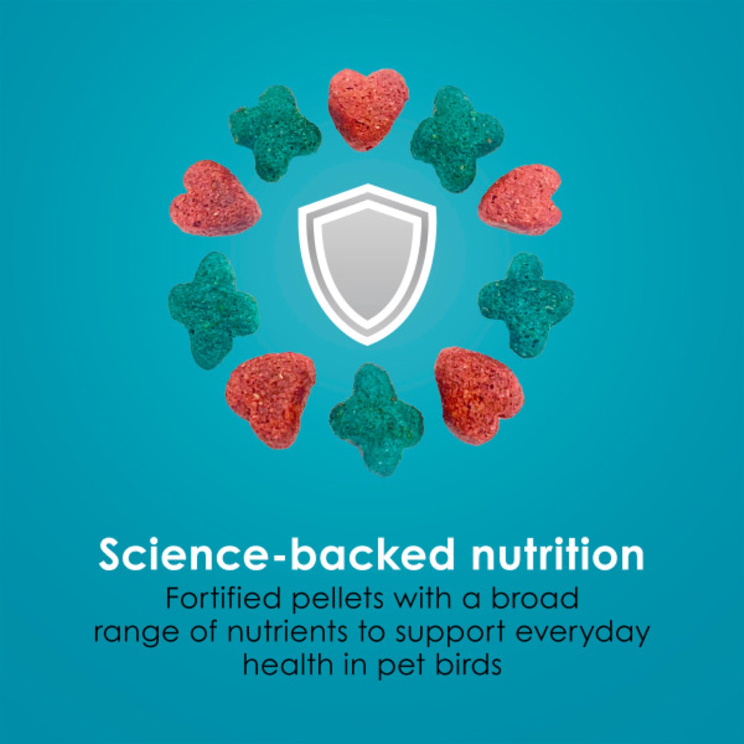 Kaytee Forti-Diet Pro Health probiotics blend close-up for digestive support.