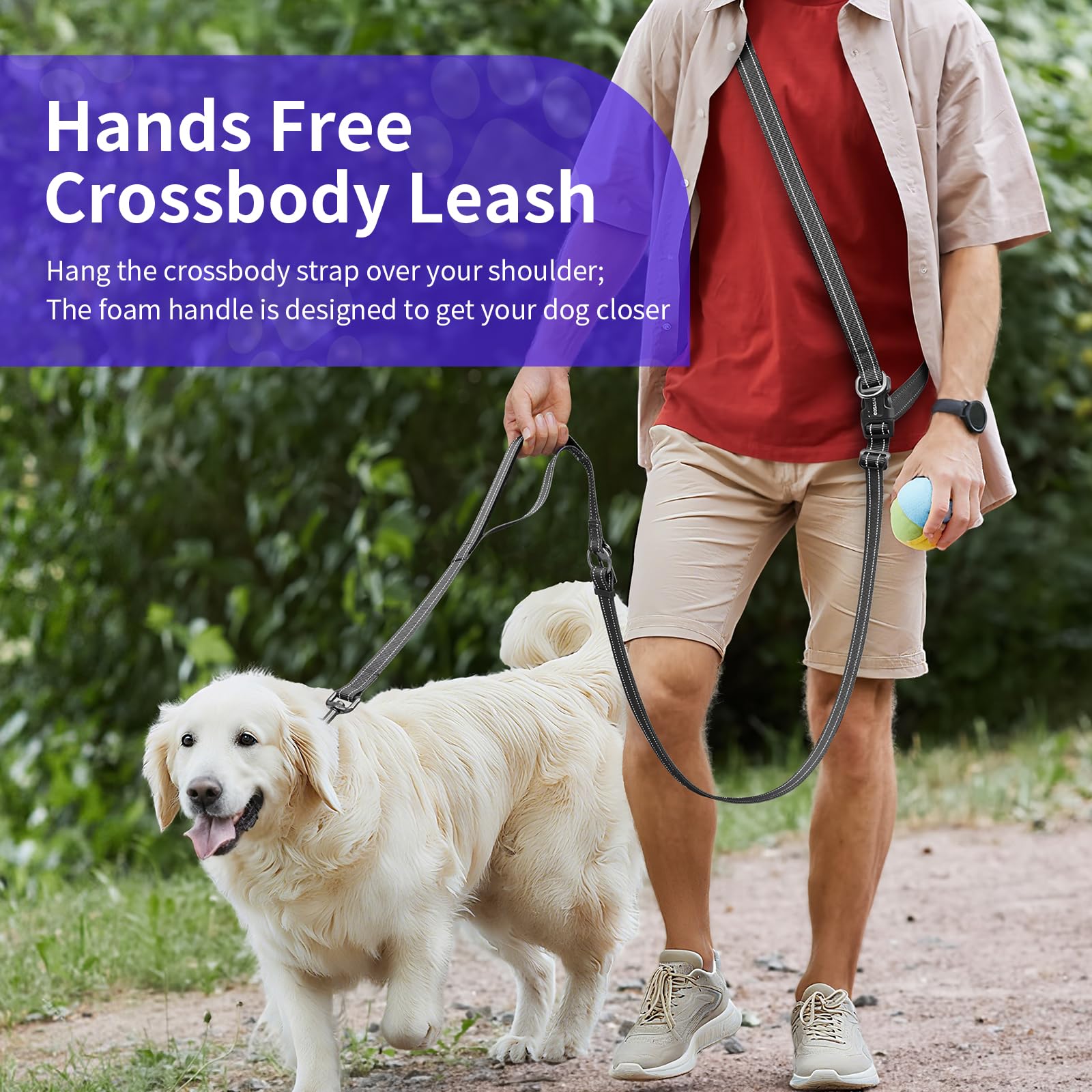 Kazazoo dual-handles provide near-dog control for safer walking near traffic.