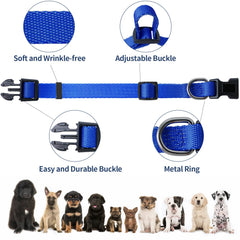 Kazazoo front-attachment no-pull collar helps reduce neck strain during walks.