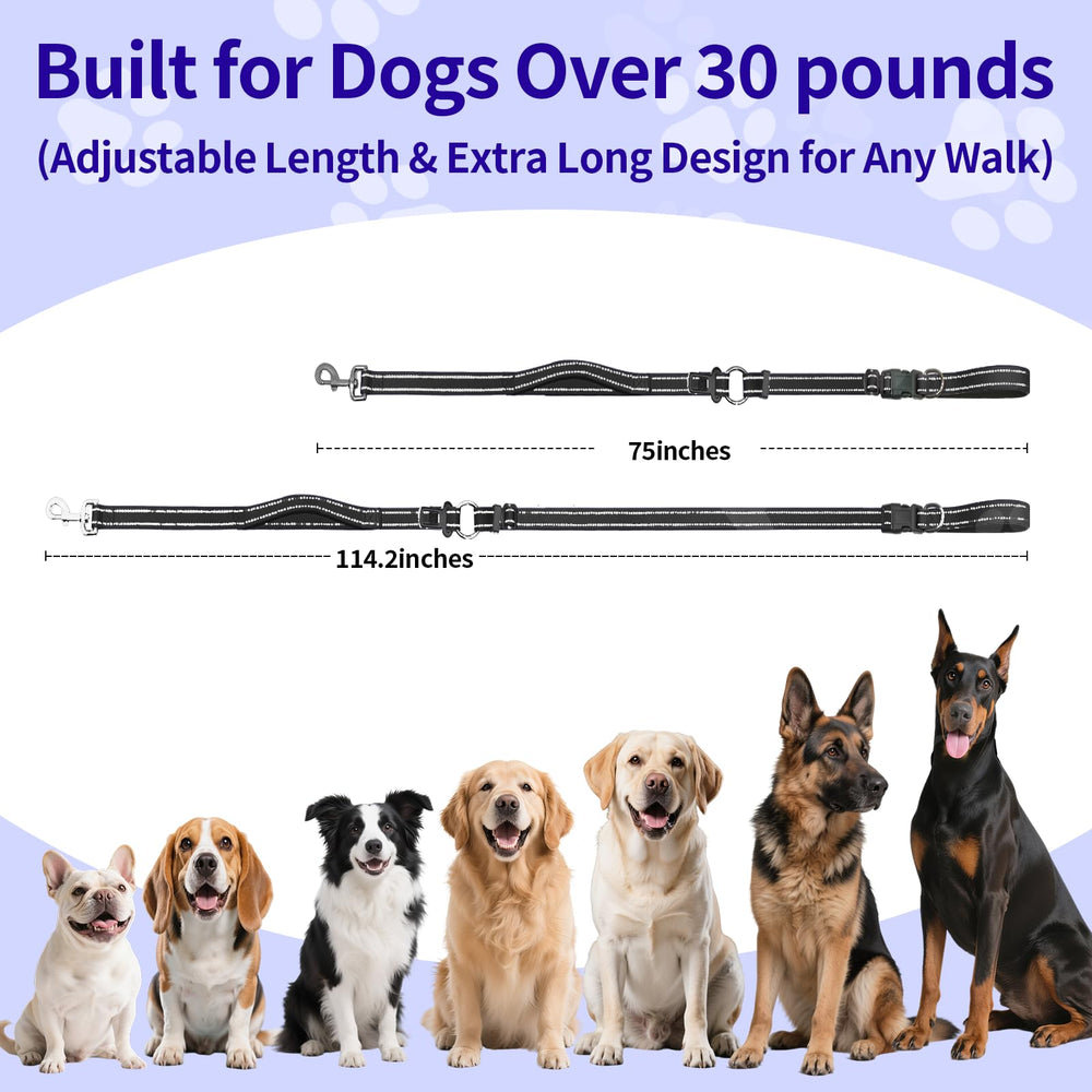 Kazazoo leash designed for large and medium dogs, suitable for training and daily strolls.