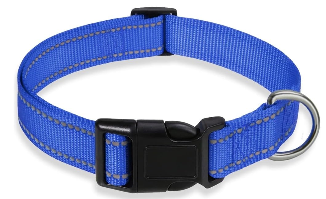 Kazazoo leopard blue dog collar with night visibility for safer evening walks.