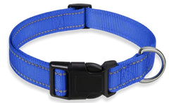 Kazazoo leopard blue dog collar with night visibility for safer evening walks.