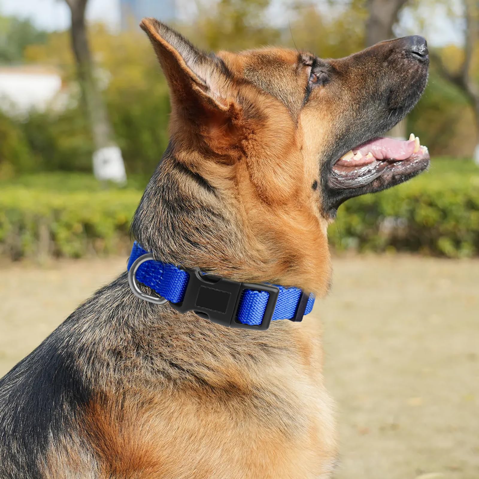 Kazazoo leopard blue dog collar features soft padding for comfy all-day wear.