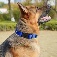 Kazazoo leopard blue dog collar features soft padding for comfy all-day wear.
