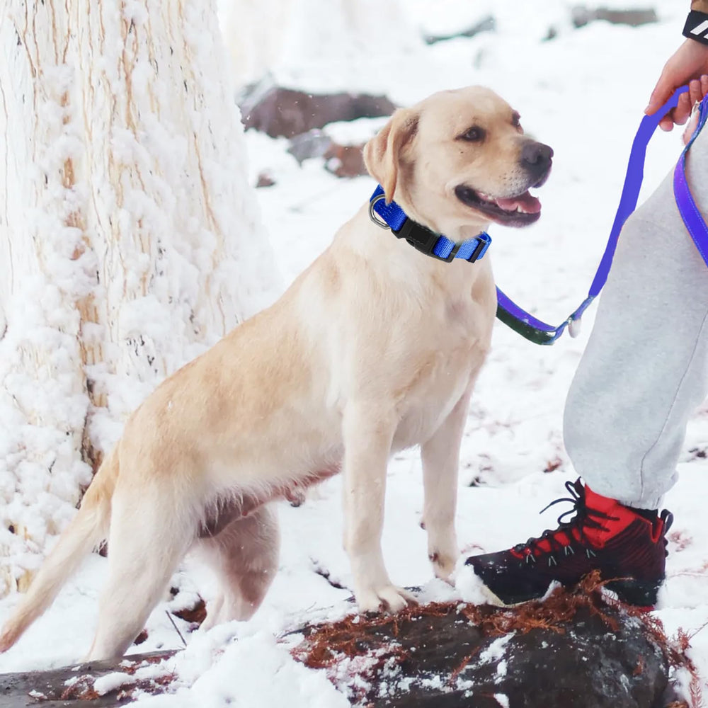 Kazazoo reflective threads boost night visibility for safer night-time adventures.