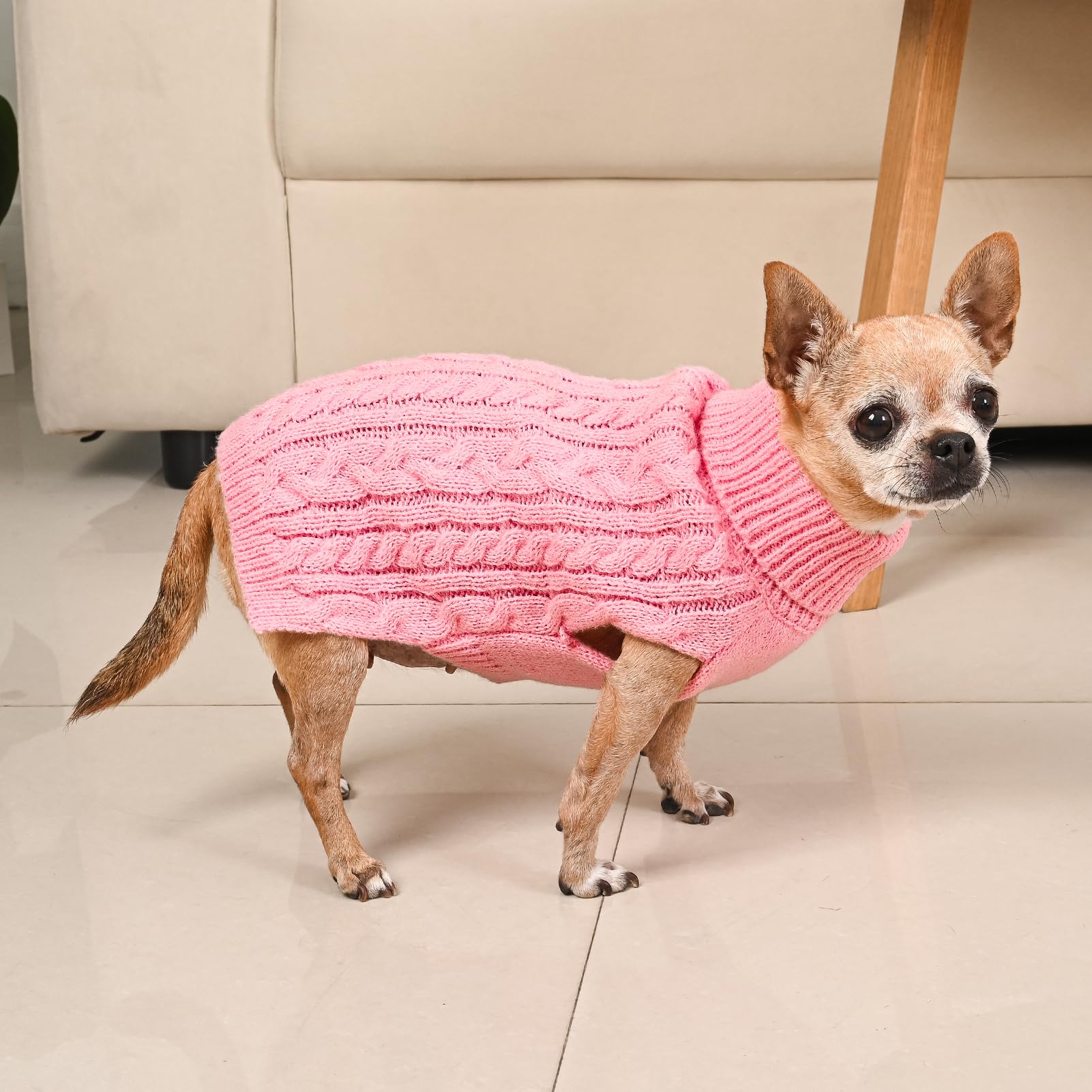 KCFESTIHUE cozy sweater ideal for festive photos and small-dog celebrations.