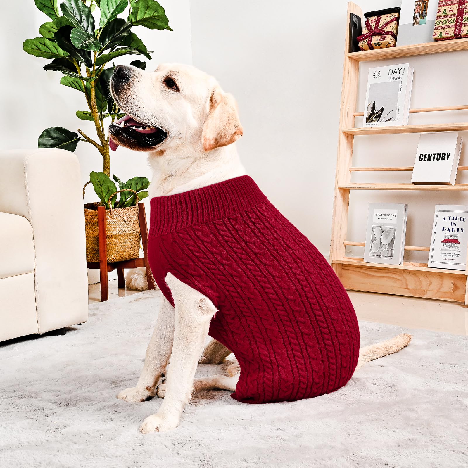 KCFESTIHUE belly-cut design on dog sweater for clean wear and ease.