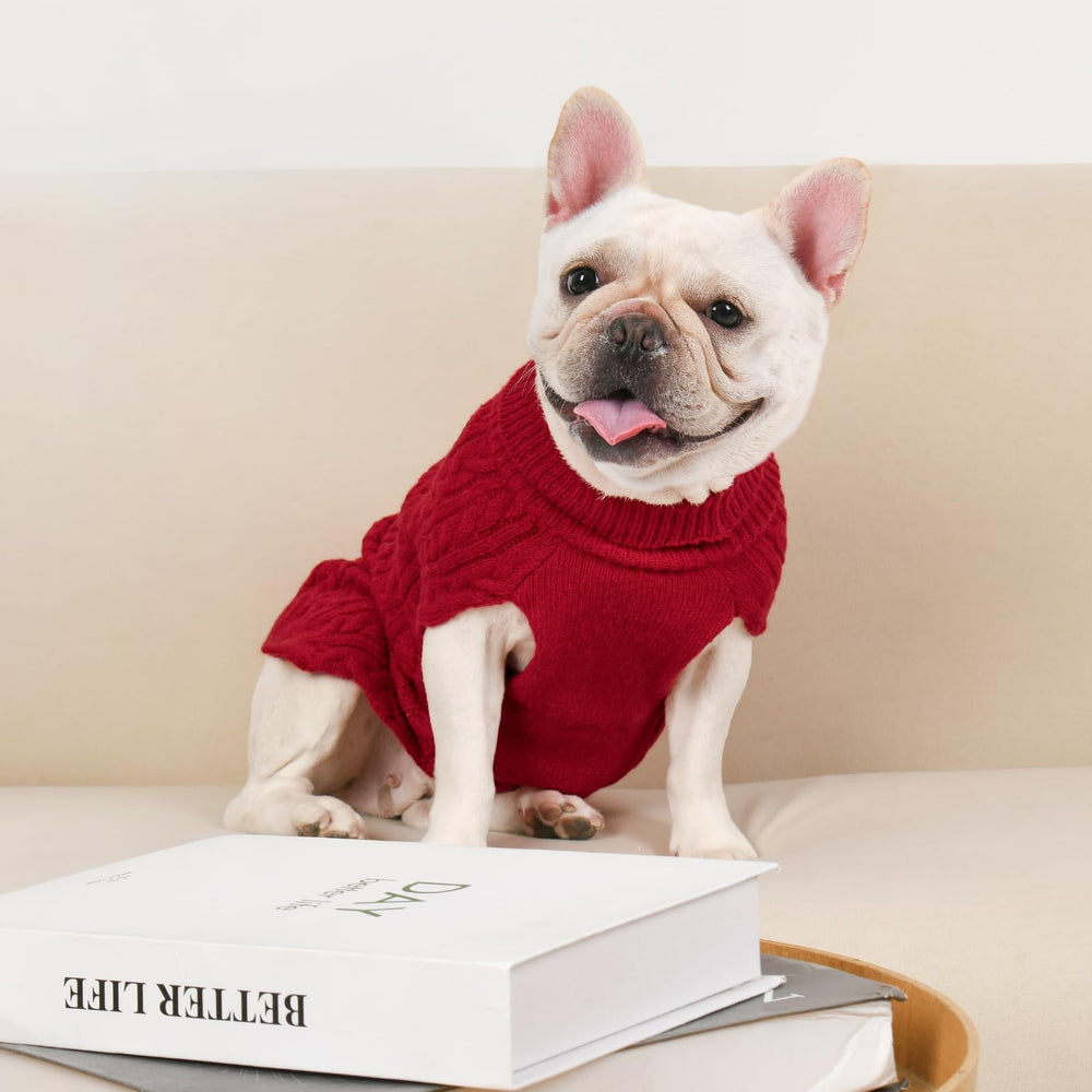 KCFESTIHUE dog wearing sweater during outdoor walk illustrates snug fit
