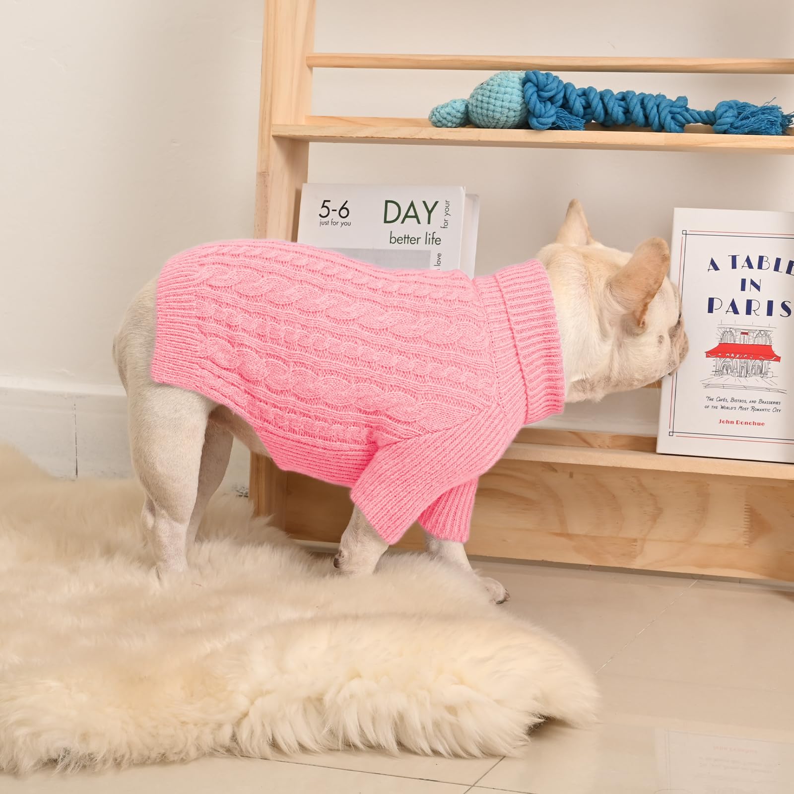 KCFESTIHUE six-shade palette shown for seasonal dog fashion.