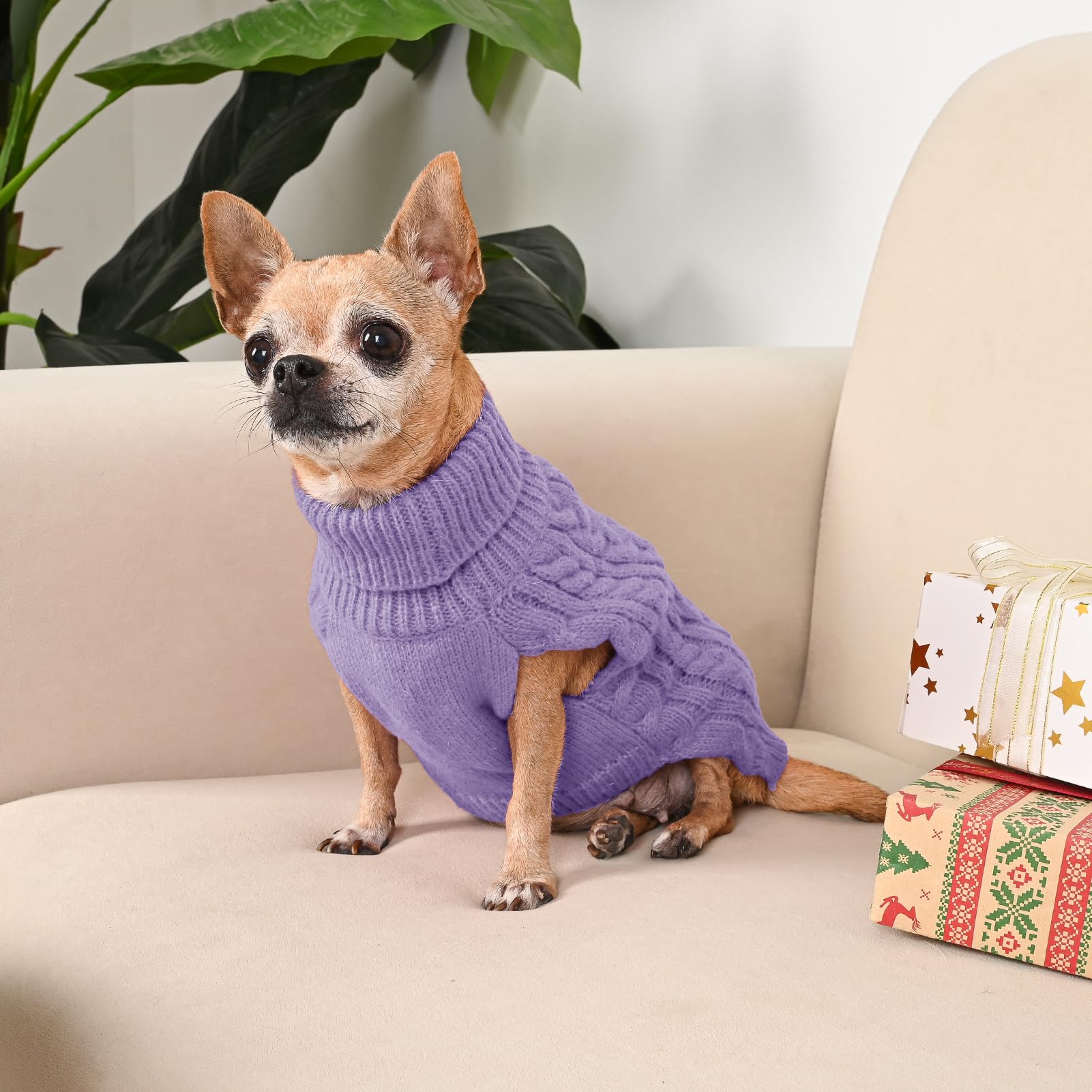 KCFESTIHUE dog sweater sleeveless pullover for free movement