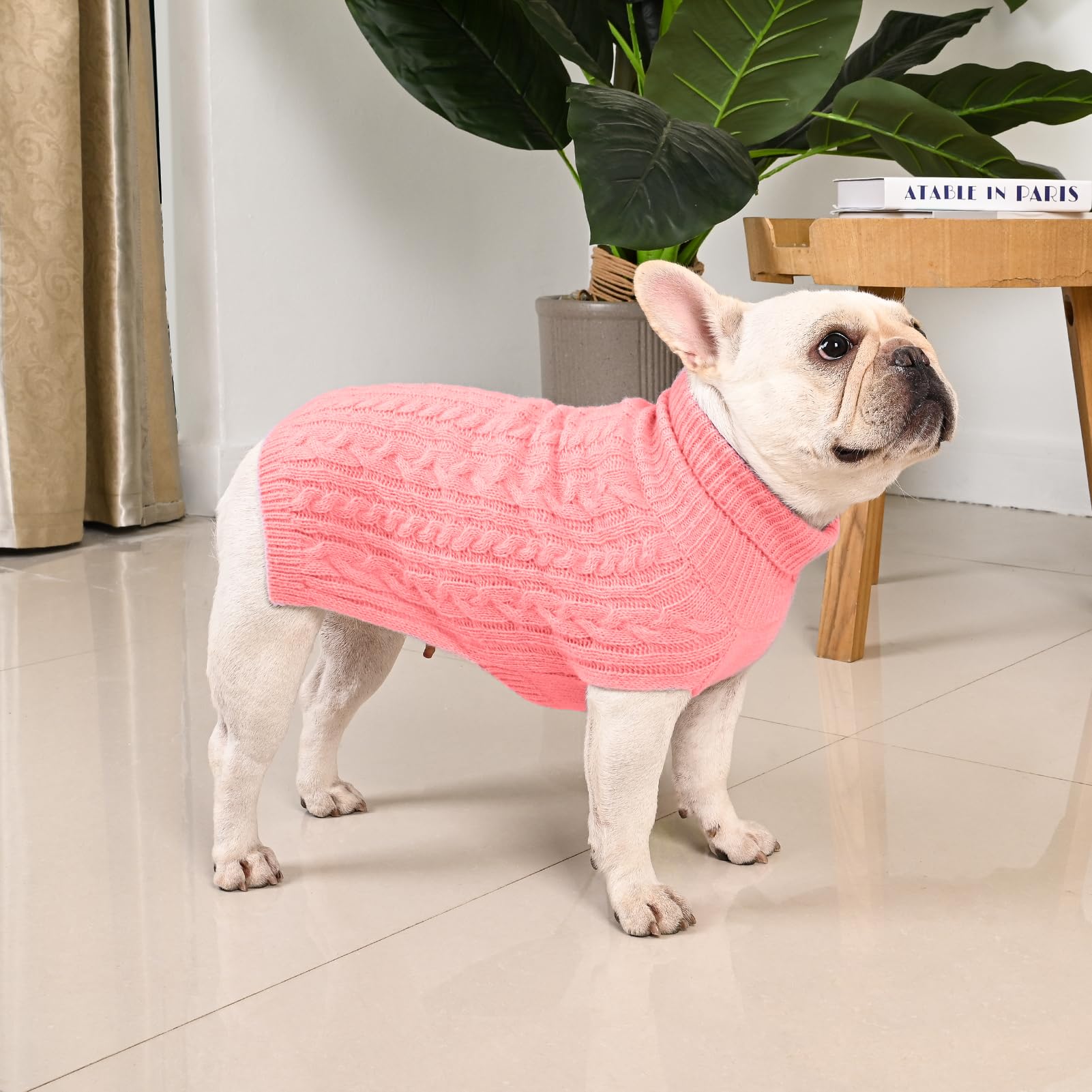 KCFESTIHUE turtleneck detail on dog sweater emphasizes full coverage