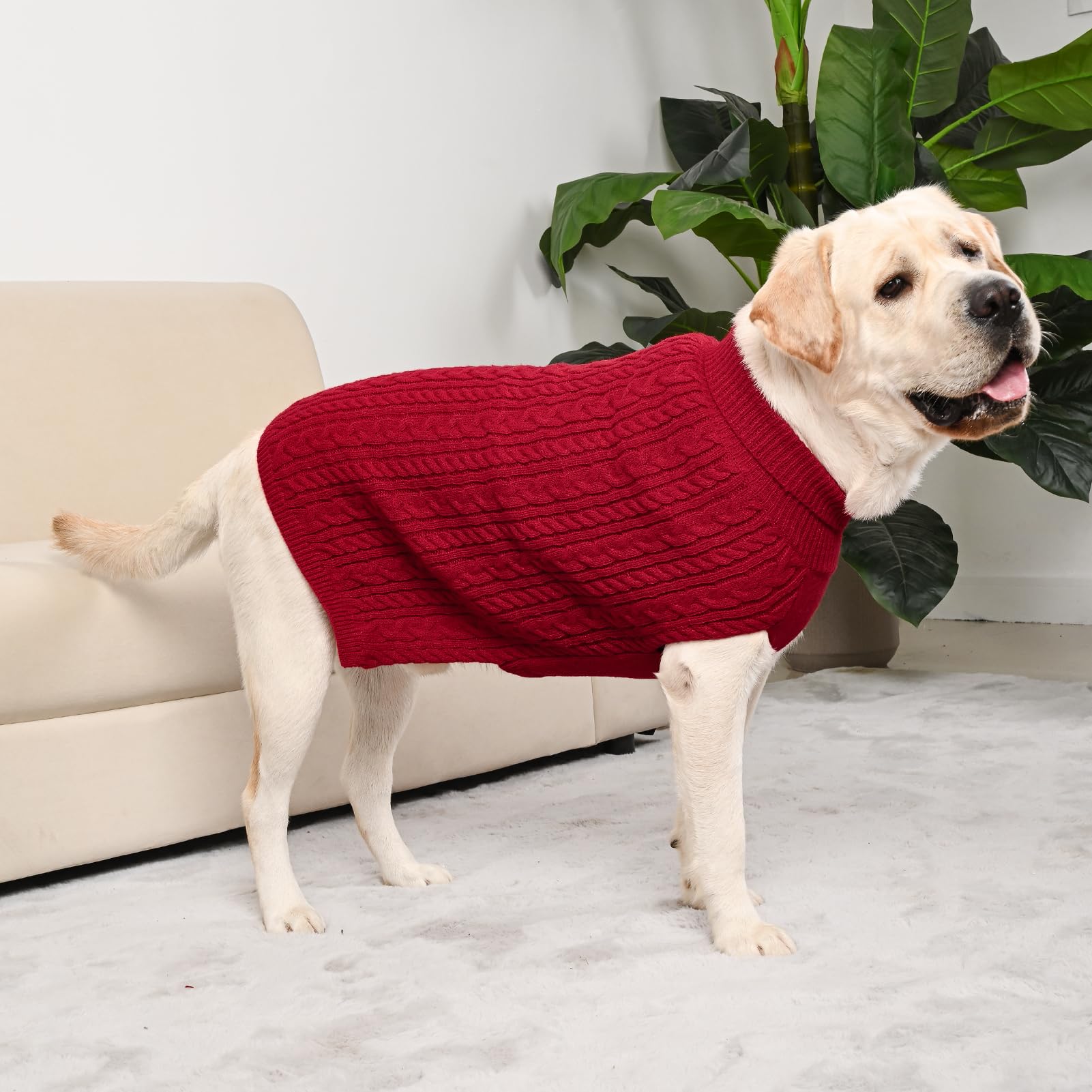 KCFESTIHUE winter-ready sweater on pet during festive photos.