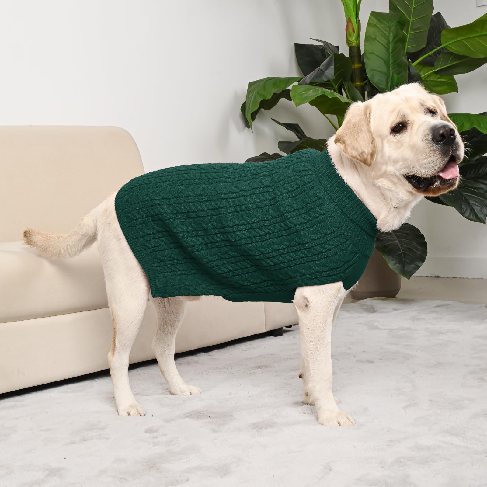 KCFESTIHUE dog sweater XL flat lay shows two-pack versatility.