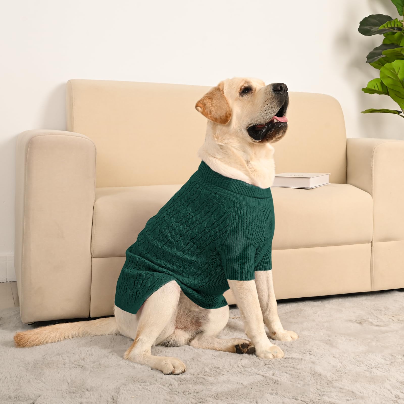 KCFESTIHUE XXL green sweater on a dog example promotes easy layering