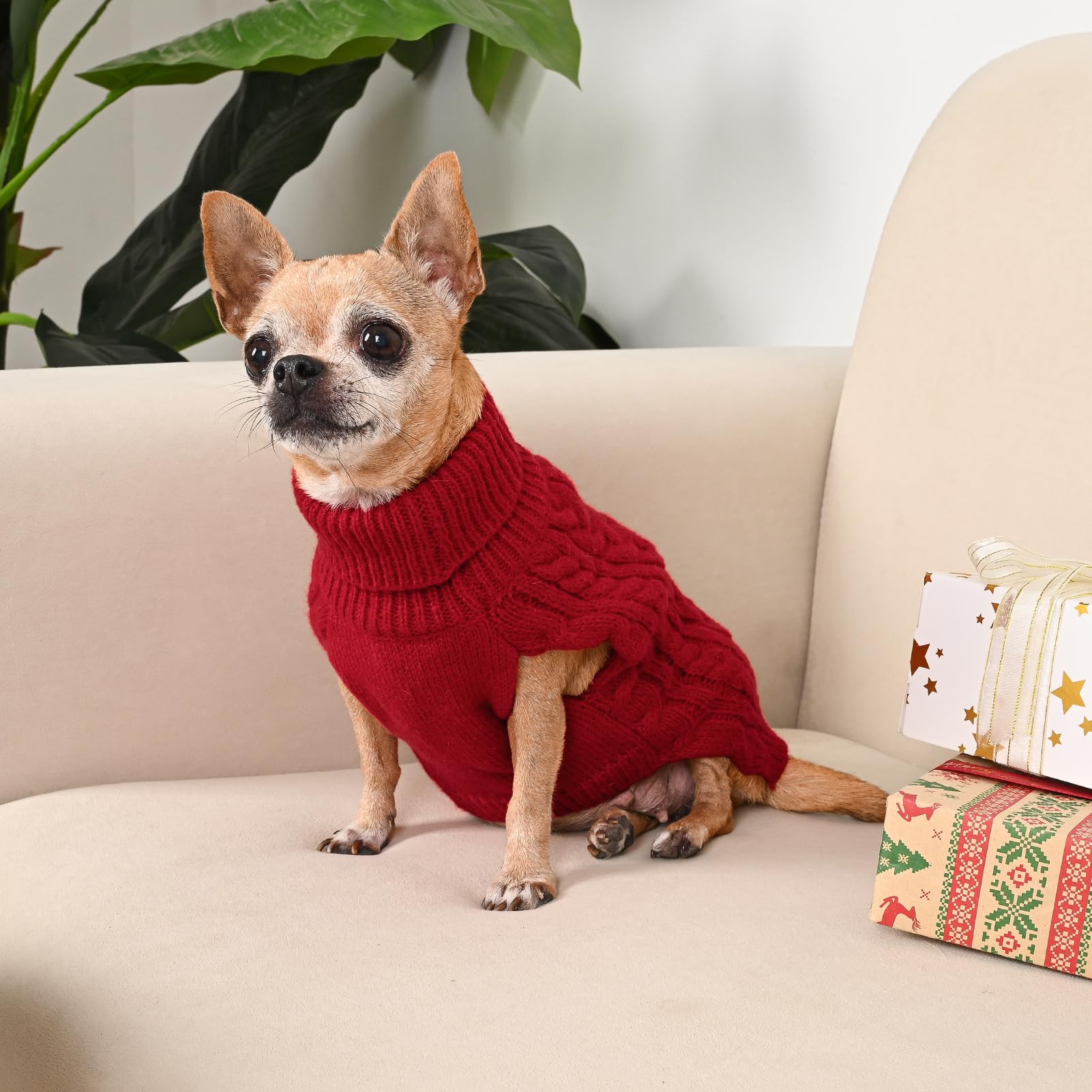 KCFESTIHUE small-dog model wearing sweater demonstrates easy wear and cute styling