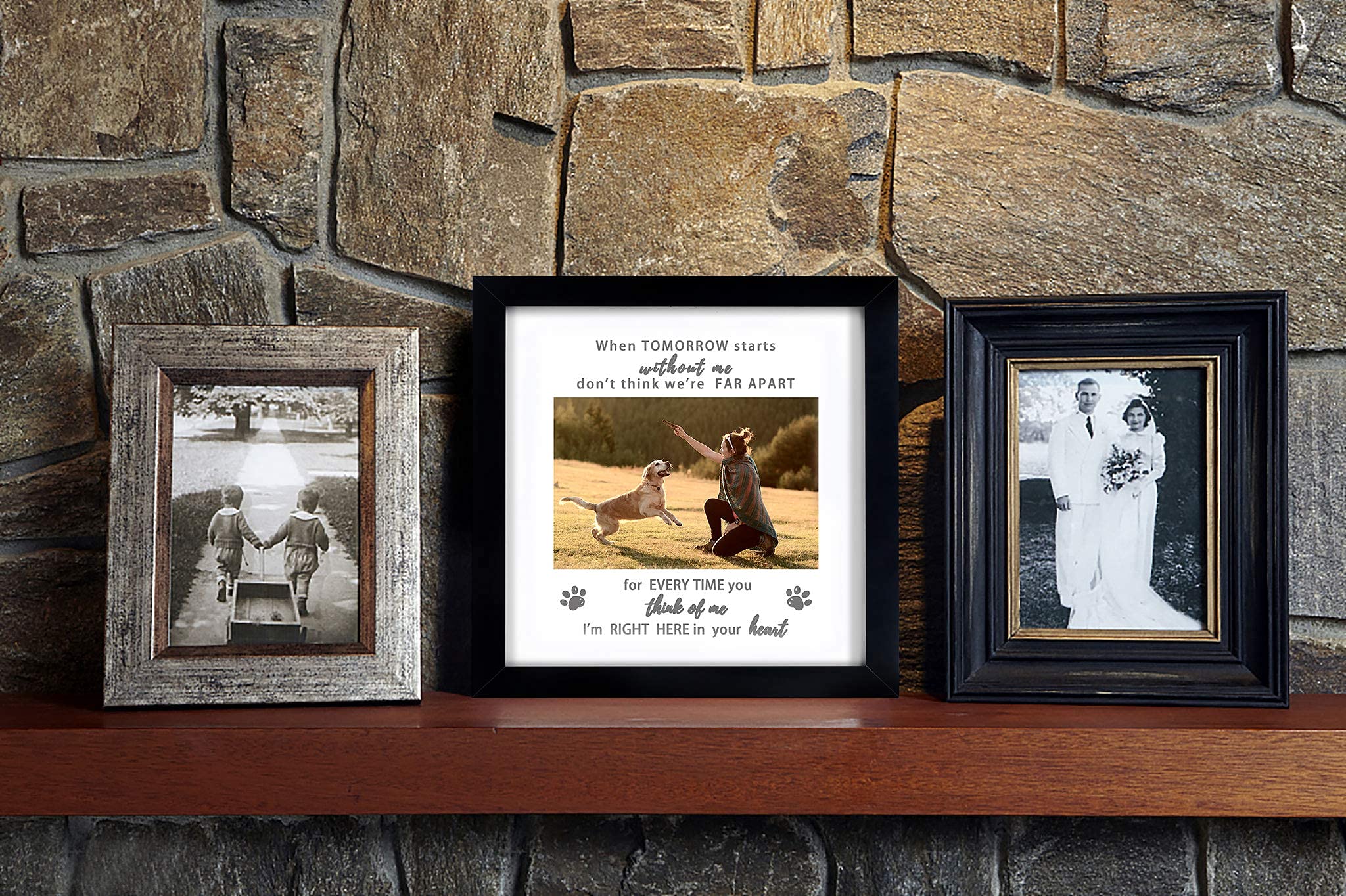 Regalo conmemorativo para mascotas, perfecto para recordar con cariño