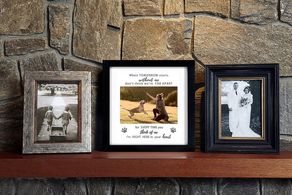 Regalo conmemorativo para mascotas, perfecto para recordar con cariño