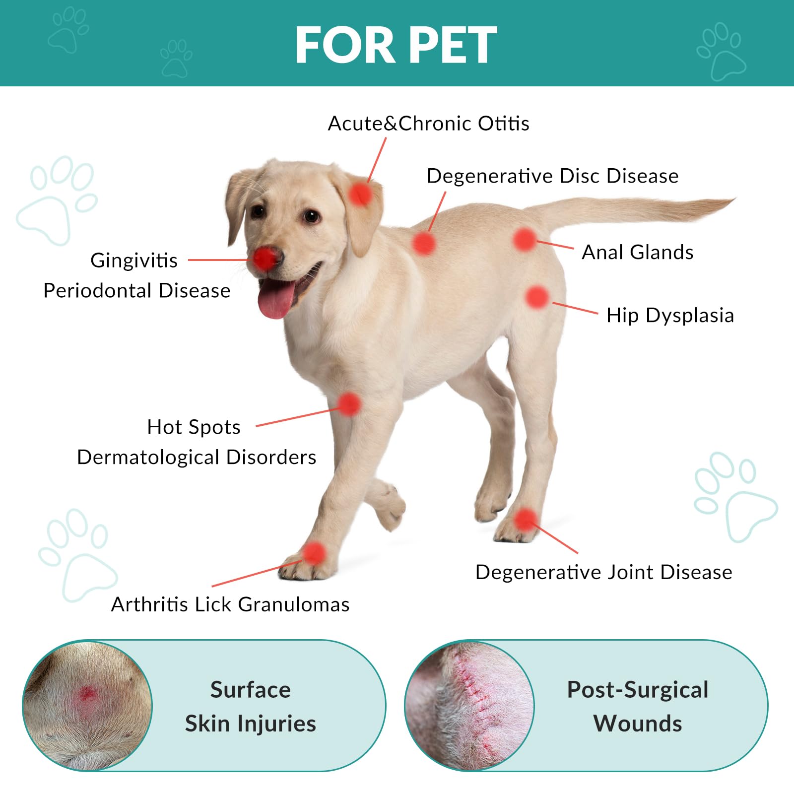 Kdvioo portable vet light-therapy kit designed for home use.