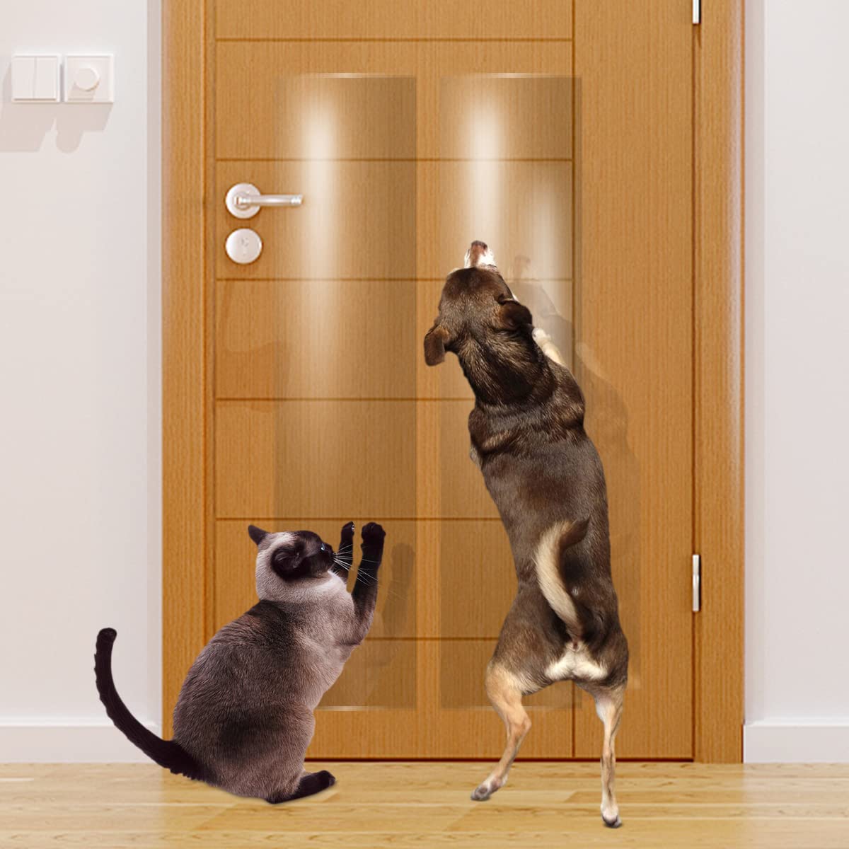 KEBE door scratch protector 63in demonstrates a clear shield guarding doors from claws