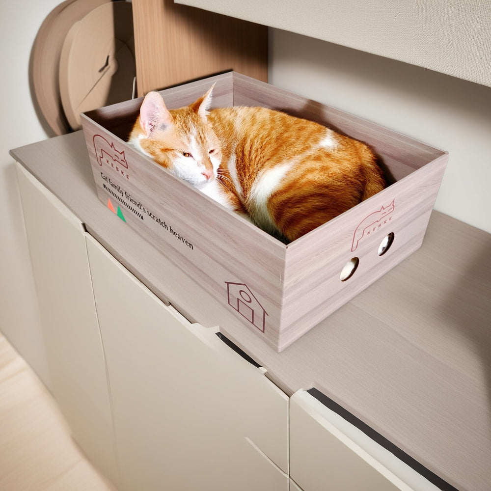 KEBKE Extra-Large Cat Furniture supports big cats and multiple felines.