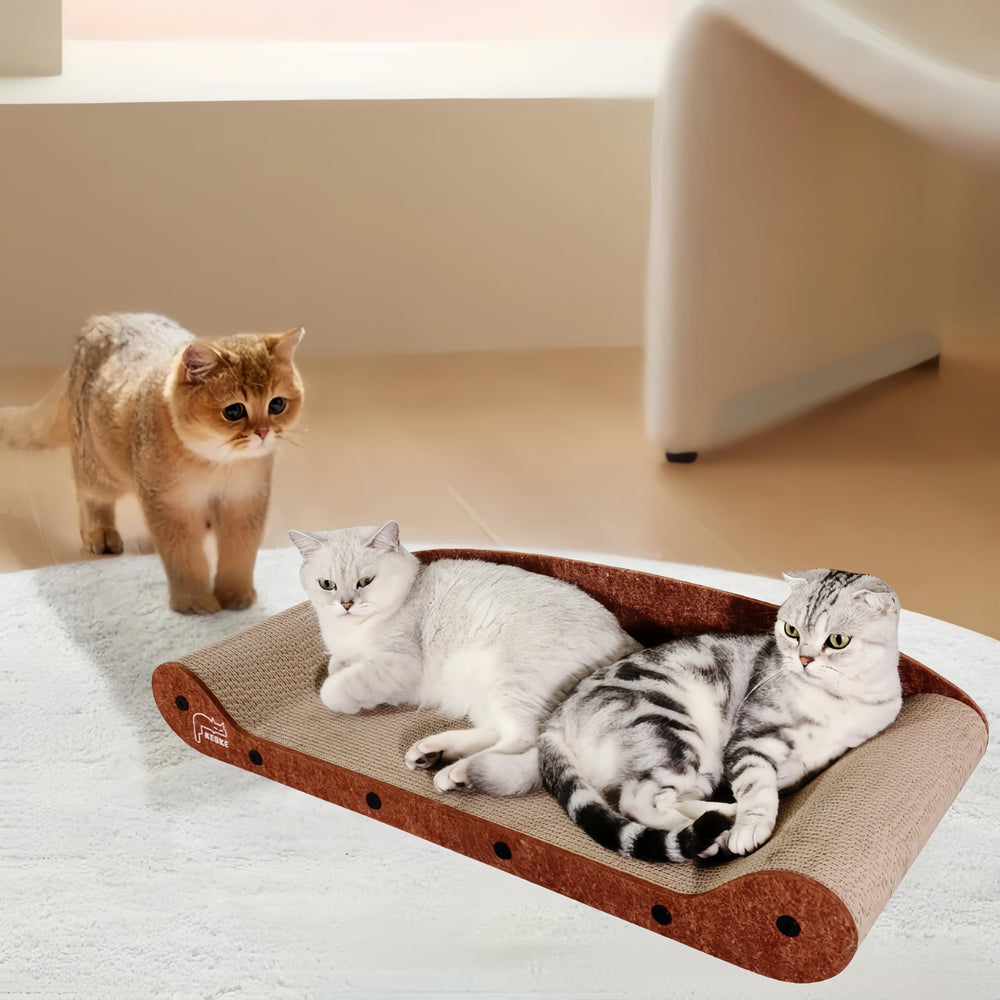 KEBKE Furniture Protector helps reduce wear on sofas and rugs.
