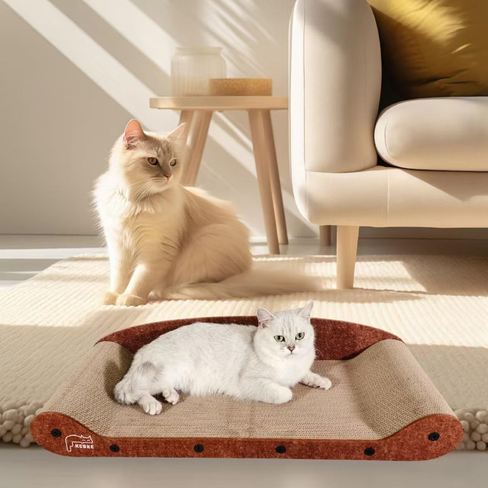KEBKE Indoor Cat Lounge keeps pets comfortable and content.