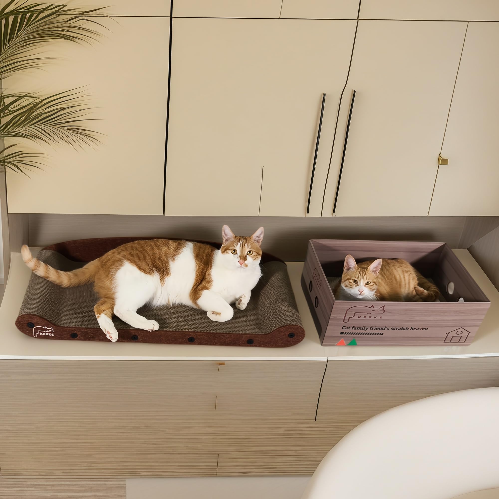 KEBKE Modern Lounge Design blends into decor while entertaining cats.