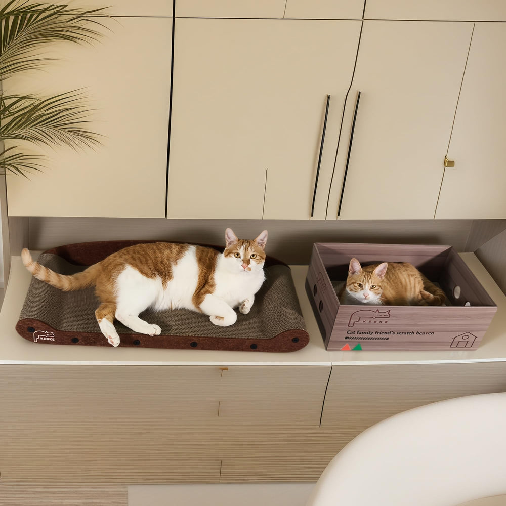 KEBKE Modern Lounge Design blends into decor while entertaining cats.
