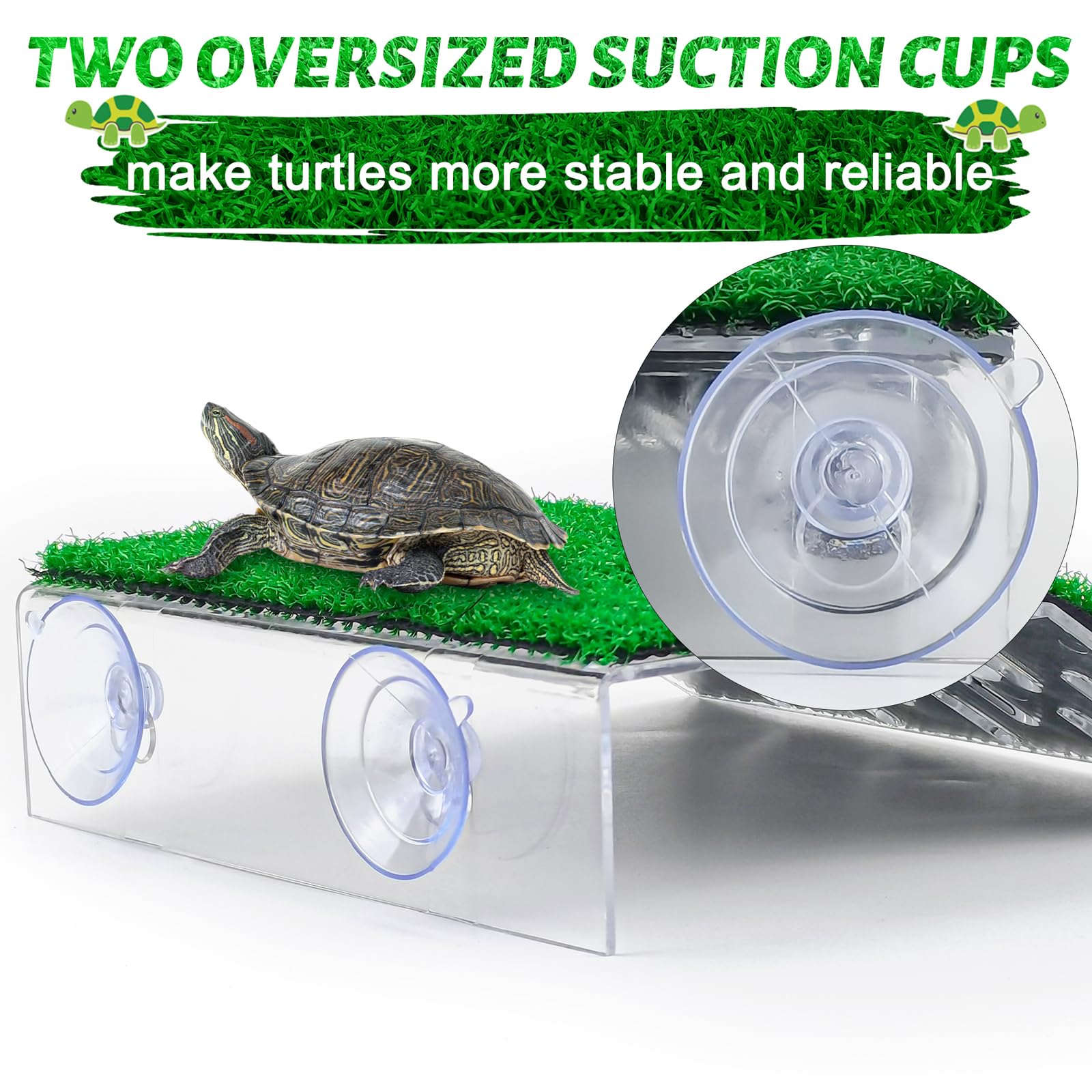 Keedolla aquarium turtle platform in acrylic shows durable, non-toxic support.